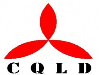 公司簽約重慶菱電電梯銷售有限公司網站建設