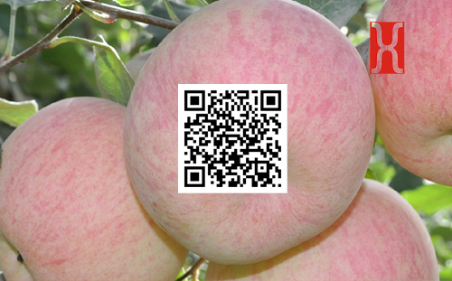 �������r(n��ng)�I(y��)�_(k��i)�l(f��)��˾