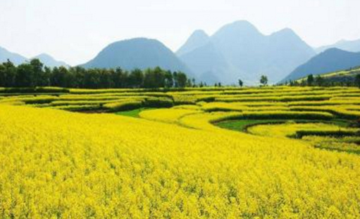 ���ϠI�N�;Wվ���O,���ϾWվ����,���ϾW��OӋ