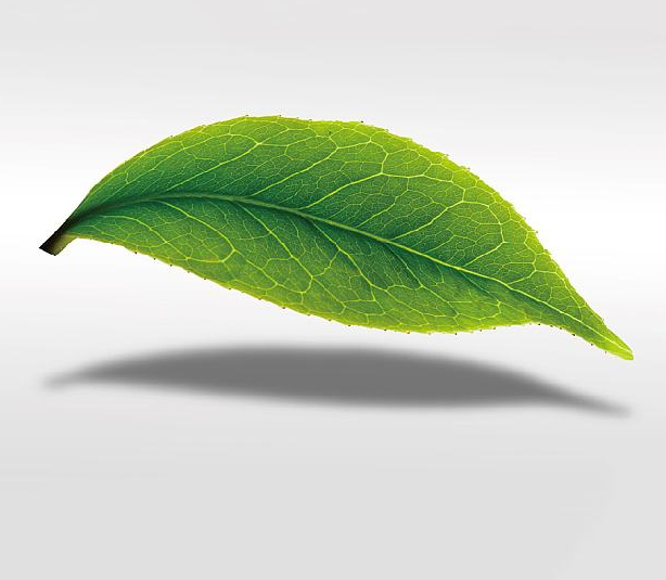 �ؑc�h����˾�Wַ��ȫ