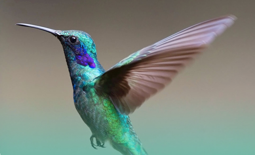 ���߶���Ⱥ�����Ї����W��һ������