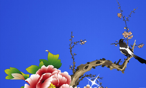 �ϴ��Wվ���O��Щ�����ŕ�����������ϲ�g