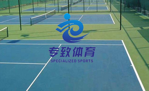 簽約重慶專致體育設施有限公司網站建設