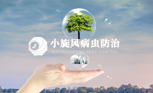 祝賀重慶小旋風病蟲害防治有限公司營銷型網站上線