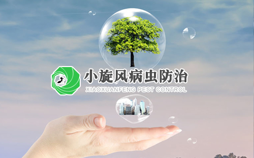 重慶小旋風(fēng)病蟲害防治有限公司