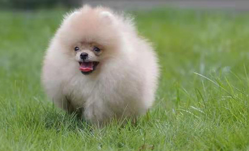 ����ף�R���������I�N�;Wվ��ʽ�Ͼ�