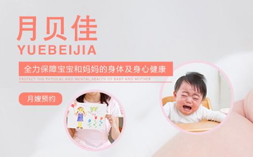 簽約月貝佳母嬰護理公司網站建設