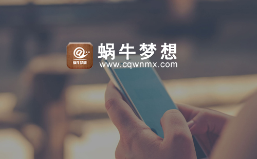 蝸牛夢(mèng)想電商平臺(tái)