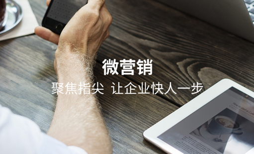 企業網絡營銷的具體分析